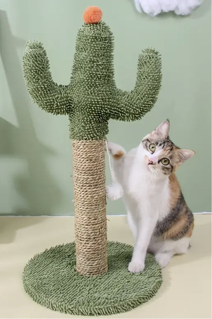 Cactus Scratching Post