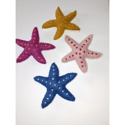 Ocean adventures Series: Star Fish